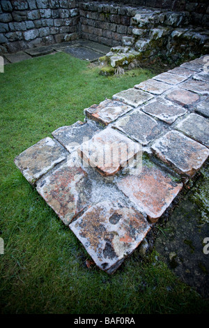 Détail de la pierre dans le Commandants House à Fort romain de Chesters Northumberland England Banque D'Images