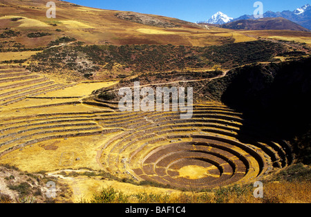 Terrasses concentriques ( période inca ) Moray vallée de l'Urubamba Pérou Banque D'Images