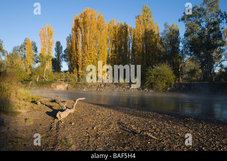 Les eaux froides qui coule doucement de la rivière Tumut Tumut,, New South Wales, Australie Banque D'Images