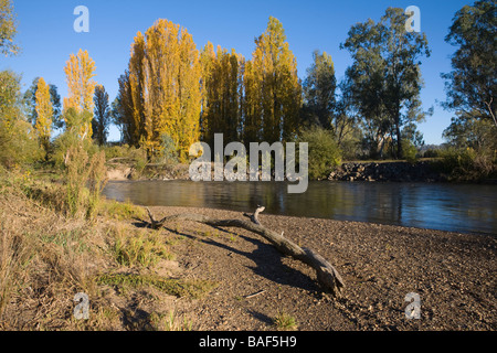 Les eaux froides qui coule doucement de la rivière Tumut Tumut,, New South Wales, Australie Banque D'Images