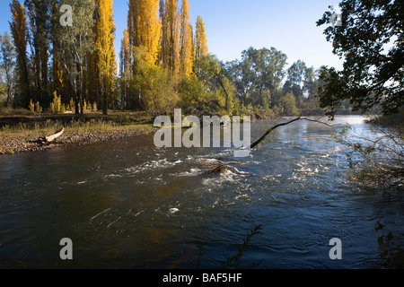 Les eaux froides qui coule doucement de la rivière Tumut Tumut,, New South Wales, Australie Banque D'Images