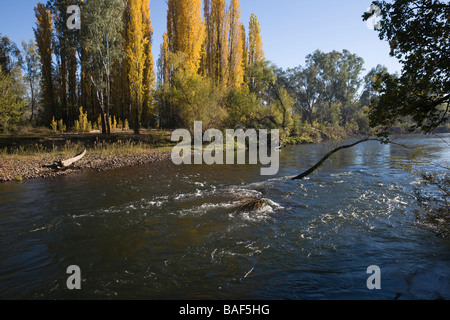 Les eaux froides qui coule doucement de la rivière Tumut Tumut,, New South Wales, Australie Banque D'Images