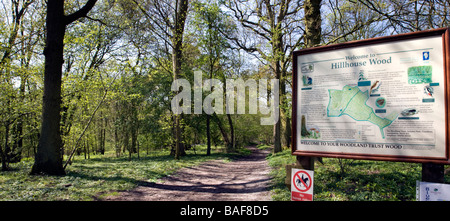 Le PANNEAU D'INFORMATION À L'entrée de bois de West Bergholt Hillhouse, près de Colchester, Essex, pleine de jacinthes des bois au printemps Banque D'Images