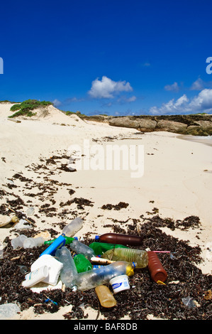 Zoé sur beach Bonaire Banque D'Images