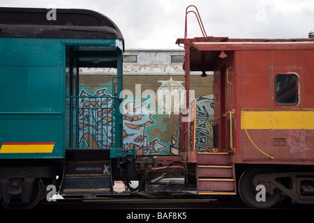 Vert ou rouge ? Banque D'Images