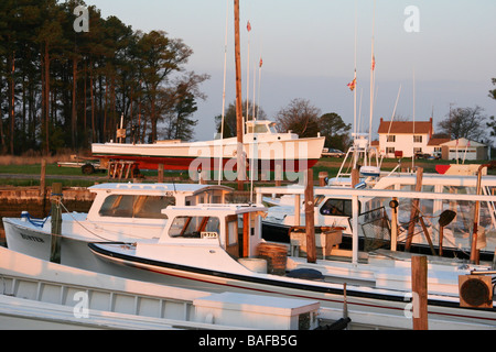 Bateaux de la baie de Chesapeake Banque D'Images