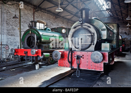 L'usine sidérurgique de Renishaw No 6 et Sir Cecil un locomotives Cochrane à l'affiche au Musée de la Locomotive de Tyneside Tanfield , Banque D'Images