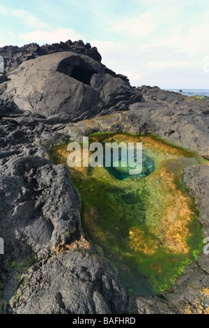 Tunnel de lave érodée et bassin de marée. L'île de São Miguel, Açores, Portugal Banque D'Images