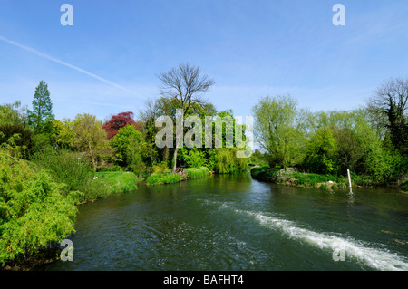 Mill Pond à Grantchester Cambridgeshire England Uk Banque D'Images