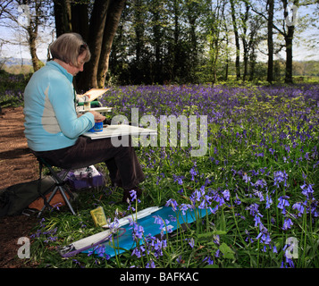 Dessin d'une dame de la scène Staffhurst bluebell Woods Surrey England UK Banque D'Images