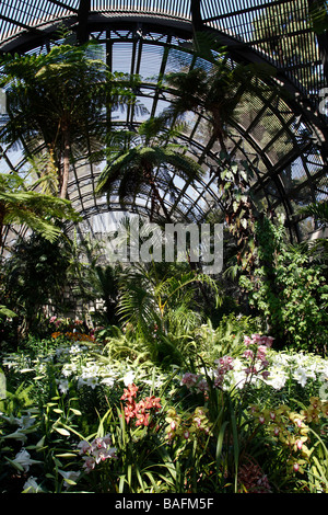 Intérieur de l'édifice botanique dans le Balboa Park, San Diego, California USA Banque D'Images