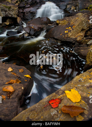 Un superbe coup d'une chute d'eau situé à Mont-Tremblant Québec Canada avec les roches de couleur chocolat et morts. feuillages colorés Banque D'Images