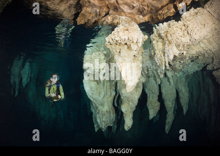 Lustre en plongeur grotte calcaire Micronésie Palau Banque D'Images