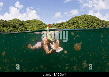 Nager avec des méduses Mastigias papua etpisonii inoffensifs Jellyfish lake Micronésie Palau Banque D'Images