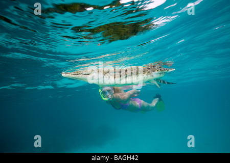 Skin Diver répond à Saltwater crocodile Crocodylus porosus Micronésie Palau Banque D'Images