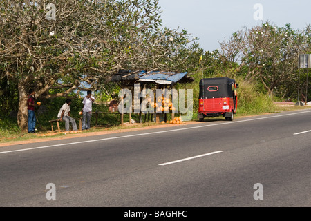 Les frais de vente de décrochage coco près de Hikkaduwa, Sri Lanka (Côte Ouest) Banque D'Images