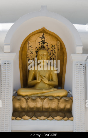 Statue du Bouddha d'or à la Pagode de la paix japonaise, près de Galle Sri Lanka illustrant l'illumination du Bouddha. Banque D'Images