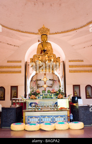 La statue de bodhisattva Puxian dans temple wannian mont Emei près de Chengdu Sichuan Chine Asie du patrimoine mondial bouddhiste zhang Banque D'Images