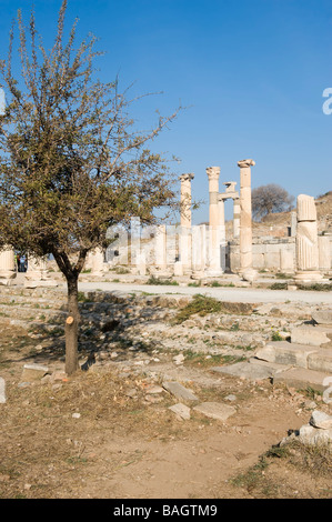 Prytanée Temple d'Artemis d'Ephèse Turquie Banque D'Images