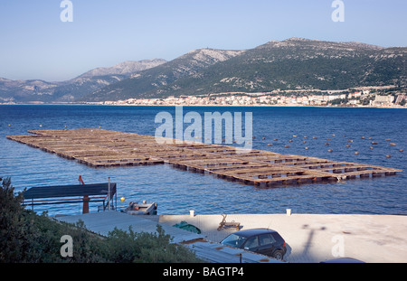 L'élevage de poissons et la Bosnie-Herzégovine Neum ville dans le fond ce n'est que la ville sur les 9 km de côtes Banque D'Images