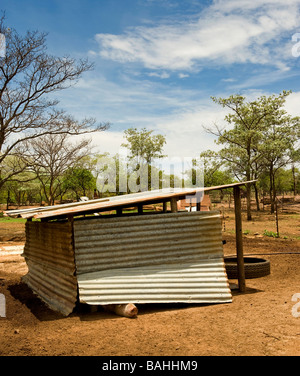 Un museau de porcs de couchage se moque d'un hangar en tôles ondulées sty sur une exploitation agricole en Afrique. Banque D'Images