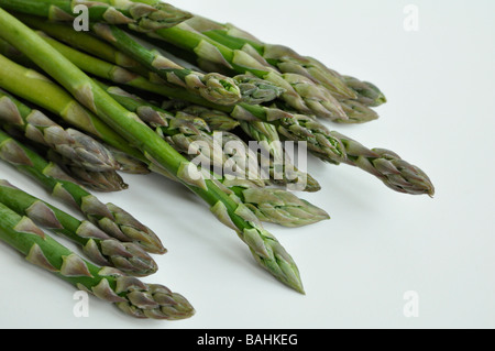 Asperges sur un fond blanc Banque D'Images