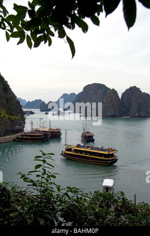 Entrée de la grotte Hang Sung Sot en Baie d'Ha Long Vietnam Banque D'Images