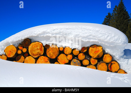 Les produits forestiers, le bois de sciage sous une épaisse couverture de neige, Jura, Suisse Banque D'Images