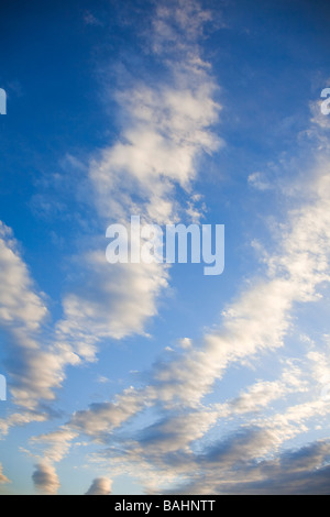 La formation de nuages Altocumulus sur un ciel bleu jour Banque D'Images