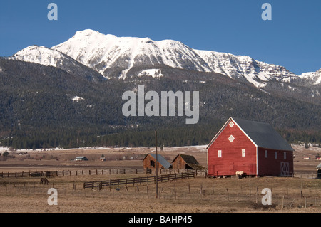 Grange rouge dans le champ sur la ferme ou un ranch à la base de la montagnes Wallowa Banque D'Images