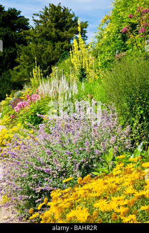 Une partie de la frontière à herbacées Jardins Waterperry, Wheatley, Oxfordshire, Angleterre, Oxon, UK Banque D'Images