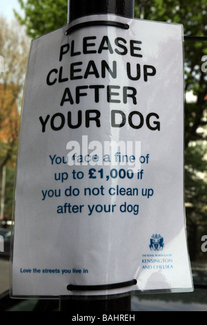 L'encrassement chien signe sur un lampadaire dans le Royal Borough de Kensington Chelsea Londres Banque D'Images