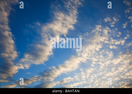 La formation de nuages Altocumulus sur un ciel bleu jour Banque D'Images