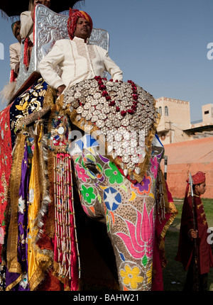 Festival de l'éléphant d'Inde Rajasthan Jaipur Banque D'Images