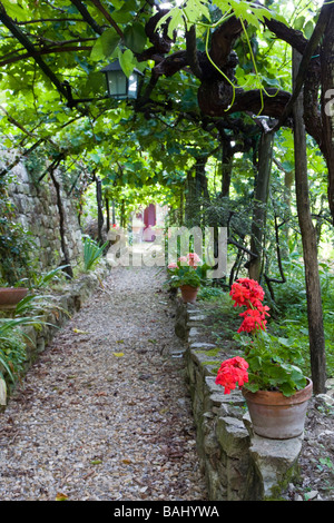 L'ombre de la vigne et fleur jardin pathway à Montefioralle, Chianti, Toscane, Italie Banque D'Images