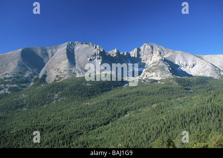 Wheeler Peak dans le Parc National du Grand Bassin, NEVADA USA Banque D'Images