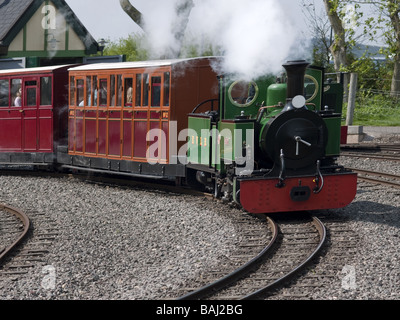 Evesham light railway narrow gauge train à vapeur Banque D'Images