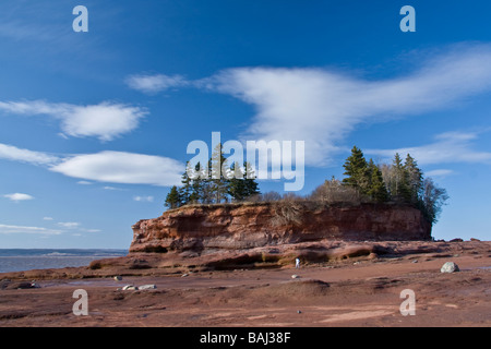 Marée basse à Burncoat Head se - Baie de Fundy, bassin Minas, Burncoat Head, Nova Scotia, Canada Banque D'Images