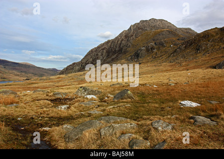 La face ouest de la montagne, un Tryfan, Snowdonia dans le Nord du Pays de Galles. Prises de Cwm Idwal Banque D'Images