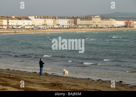 Un homme promène son chien sur la plage de Weymouth, Dorset, UK Banque D'Images