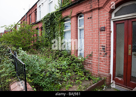Jardin de la rangée avant est envahi par des maisons en terrasse Cardiff Wales UK Banque D'Images
