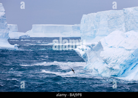 Les icebergs tabulaires bleu en pleine tempête de l'océan Antarctique Banque D'Images