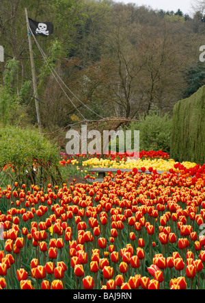 Tulip mixte bateau pirate et l'affichage de ses sculptures en saule, à Harlow Carr RHS en avril. Banque D'Images