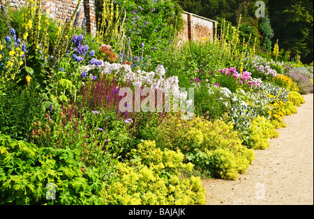 Frontière herbacées à Waterperry Gardens, Wheatley, Oxfordshire, Angleterre, Oxon, UK Banque D'Images