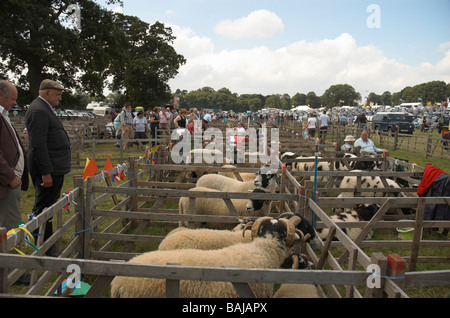 Les fermiers à Ryedale Show Banque D'Images