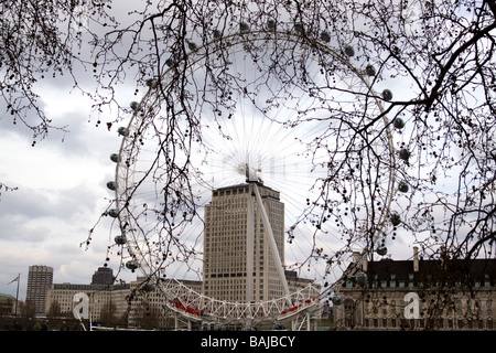 Le London Eye à travers les arbres Banque D'Images