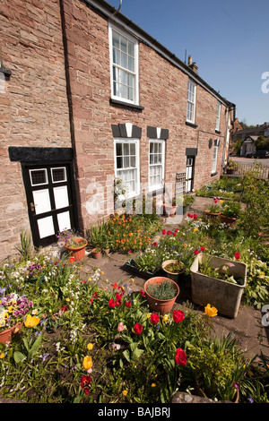 UK Gloucestershire Forêt de Dean Blakeney centre village dans les petites fleurs de printemps coloré jardin de devant Banque D'Images