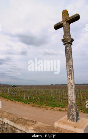 La croix de pierre dans la Romanée Conti vosne-romanée cote de nuits bourgogne france Banque D'Images