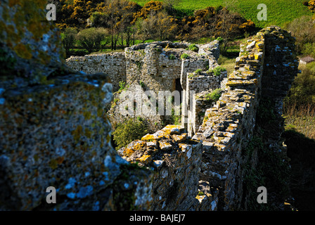 Château de Manorbier, Pembrokeshire Banque D'Images