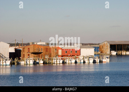 Bateaux de la baie de Chesapeake en feuillets par un atelier de traitement de fruits de mer Banque D'Images